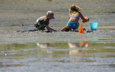 What’s Your Travel Type