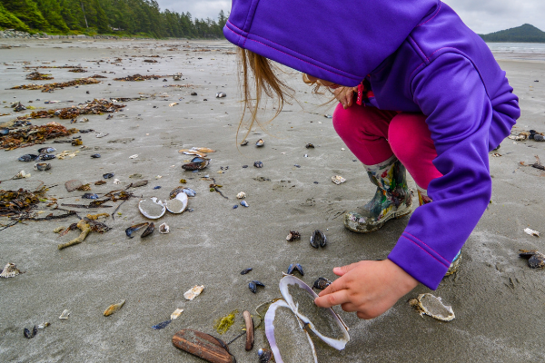 Exploring Tide Pools in Parksville
