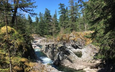 48 Hours in Parksville