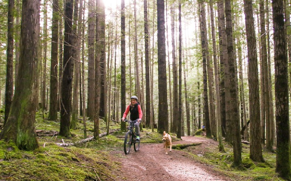 Peddle Around in Parksville
