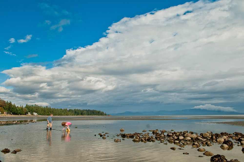 5 Family Friendly Activities in Parksville